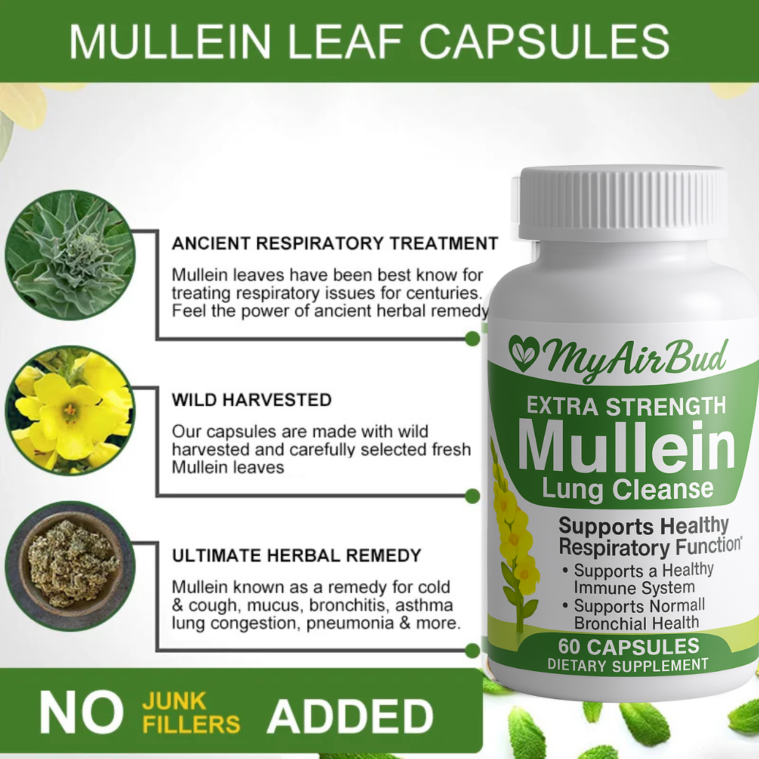 Natural Mullein Leaf Capsules Herbal Supplement for Lung Cleanse Helps Healthy Respiratory Function & Mucous Membranes