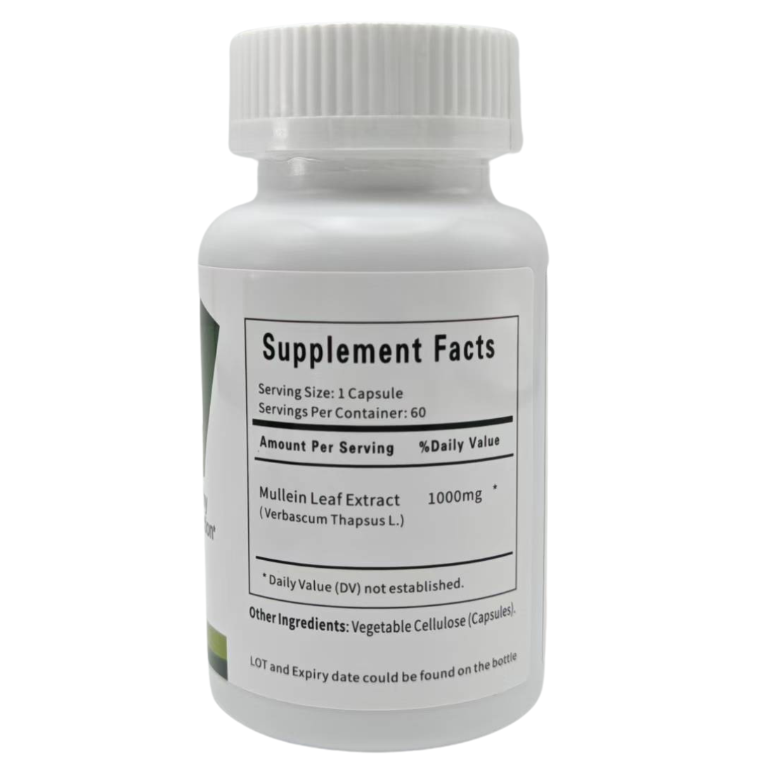 Natural Mullein Leaf Capsules Herbal Supplement for Lung Cleanse Helps Healthy Respiratory Function & Mucous Membranes