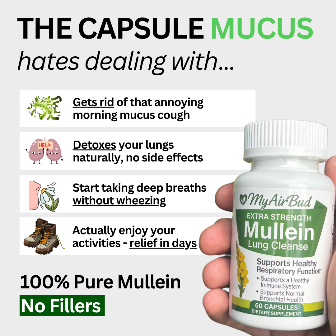 Natural Mullein Leaf Capsules Herbal Supplement for Lung Cleanse Helps Healthy Respiratory Function & Mucous Membranes