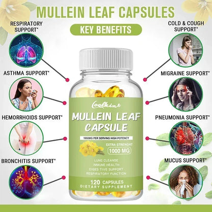 Mullein Gel Capsules - Supports Healthy Respiratory Function and Mucous Membranes and Promotes Lung Cleansing