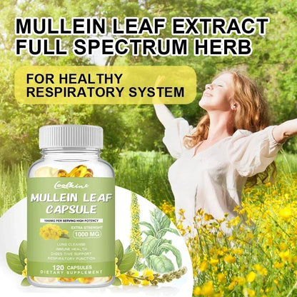 Mullein Gel Capsules - Supports Healthy Respiratory Function and Mucous Membranes and Promotes Lung Cleansing