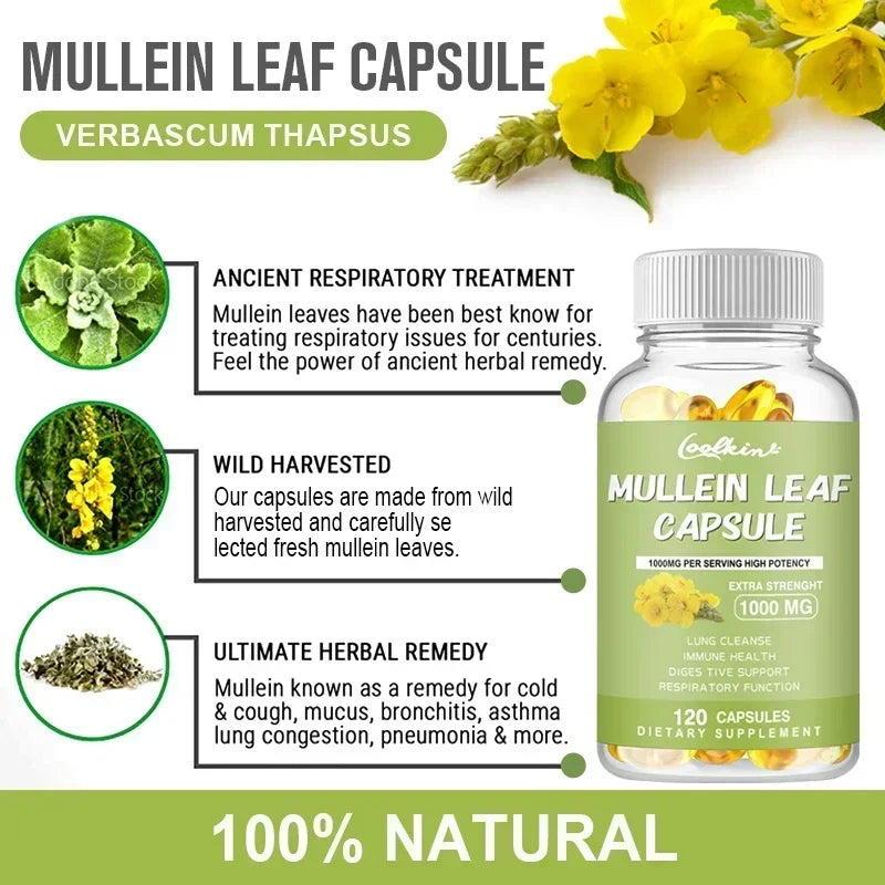 Mullein Gel Capsules - Supports Healthy Respiratory Function and Mucous Membranes and Promotes Lung Cleansing