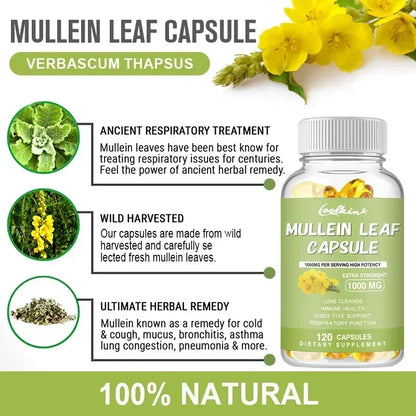 Mullein Gel Capsules - Supports Healthy Respiratory Function and Mucous Membranes and Promotes Lung Cleansing