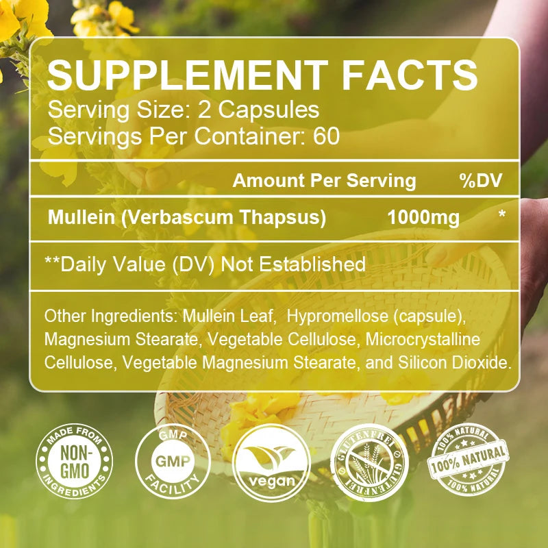 Mullein Gel Capsules - Supports Healthy Respiratory Function and Mucous Membranes and Promotes Lung Cleansing