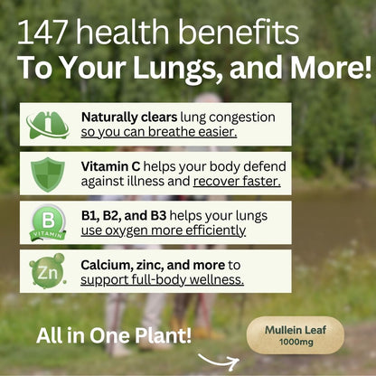 Natural Mullein Leaf Capsules Herbal Supplement for Lung Cleanse Helps Healthy Respiratory Function & Mucous Membranes