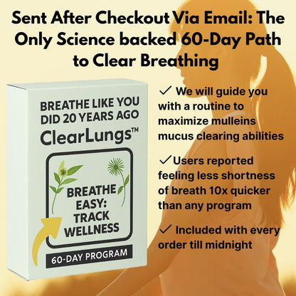 Natural Mullein Leaf Capsules Herbal Supplement for Lung Cleanse Helps Healthy Respiratory Function & Mucous Membranes